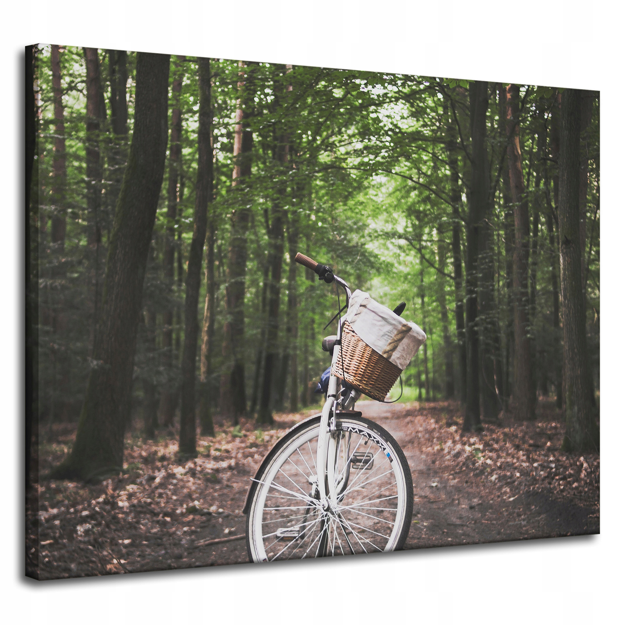 Obraz na plátně Pro Mládež kolo v lese Natura Sport 100x80