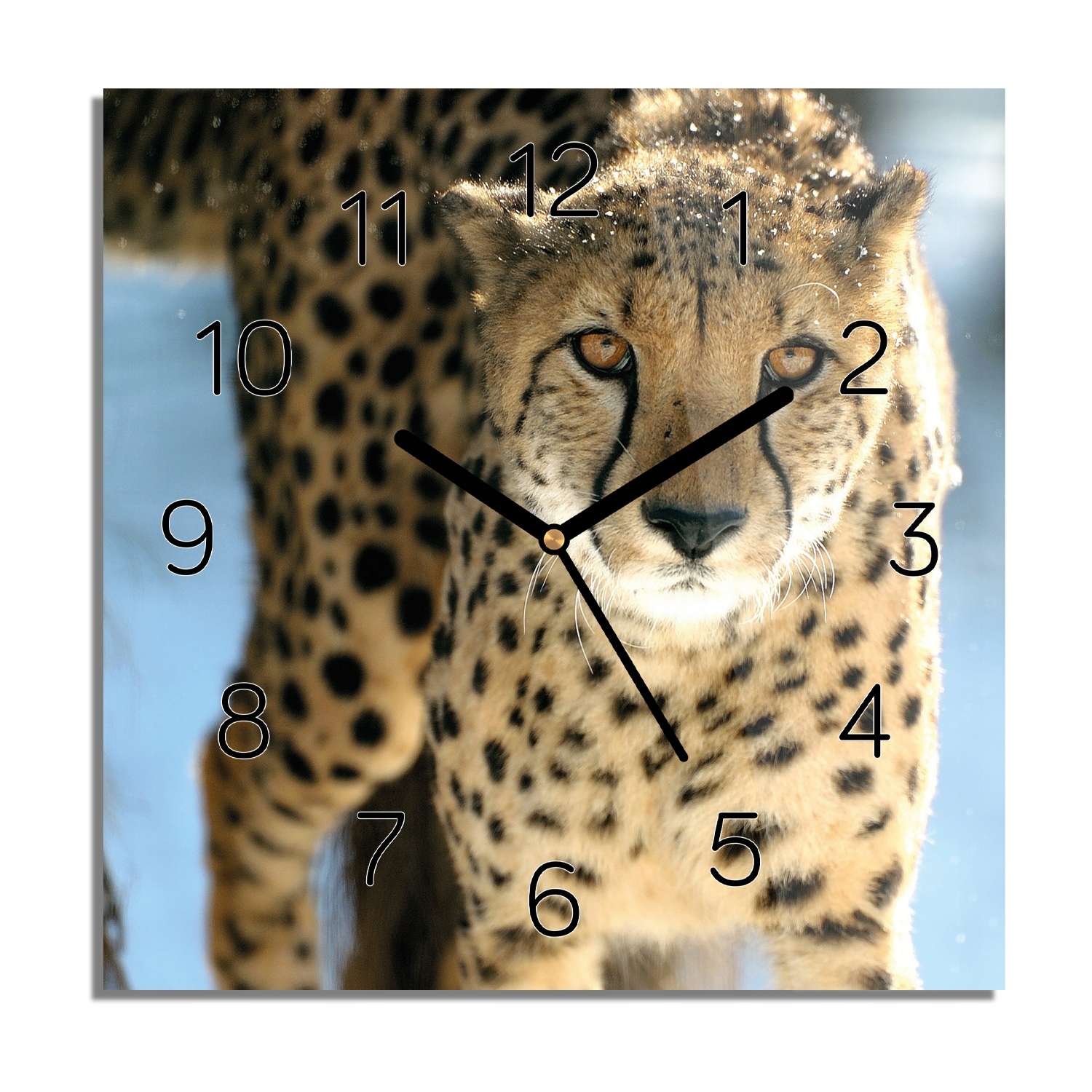

Gepard zima śnieg zegar szklany czarne cyfry 30x30