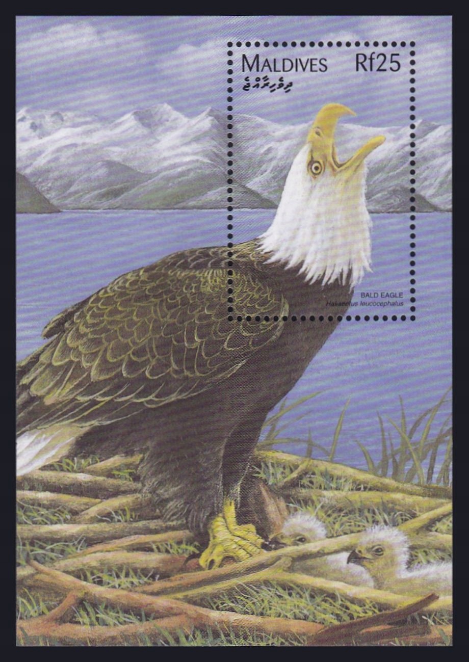 MALDIVES - PTAKI - 1997 r. - MNH(**)