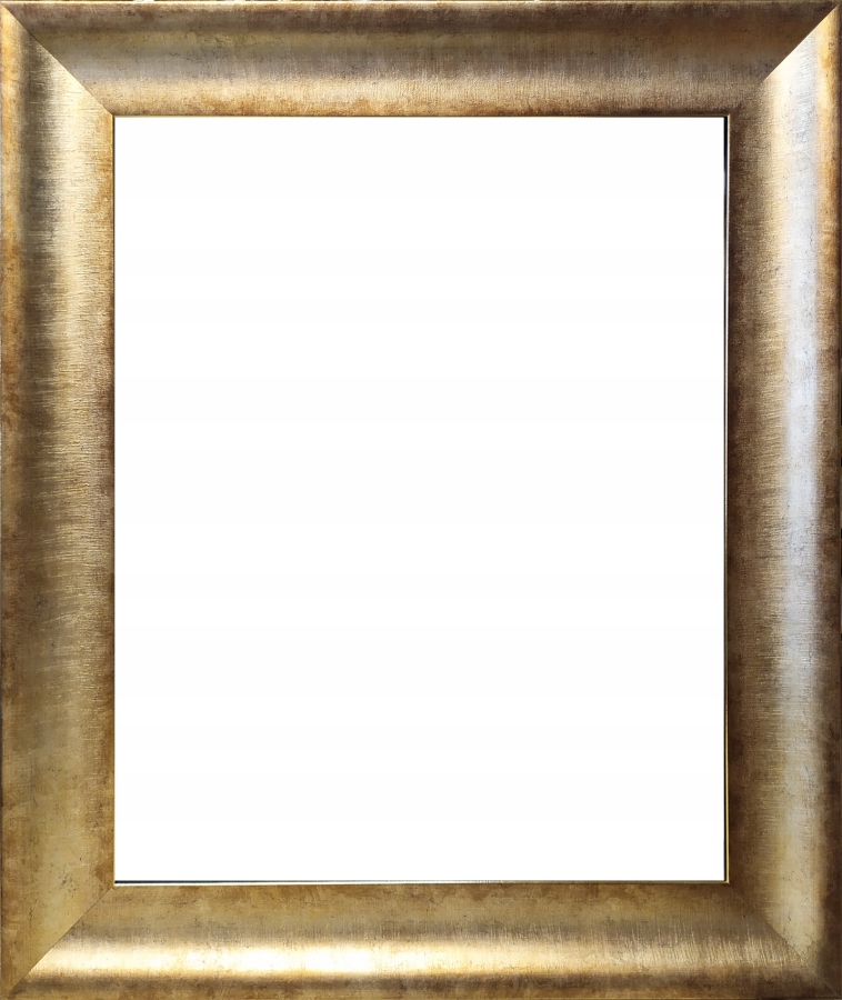 Rámeček 40x50 65 Hola Zlatý