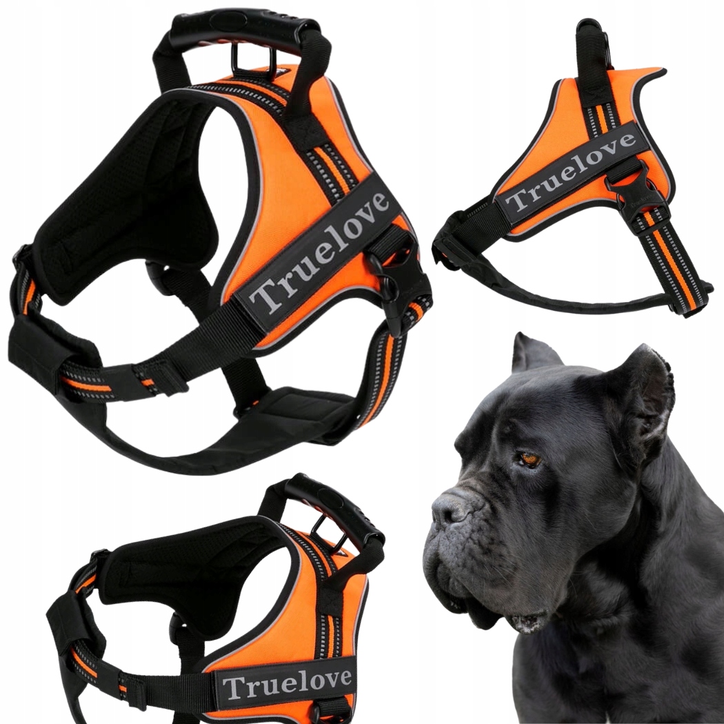 Levně Postroj Pro Psa Pracujícího S Rukojetí Truelove Outdoor Oranžový XXL