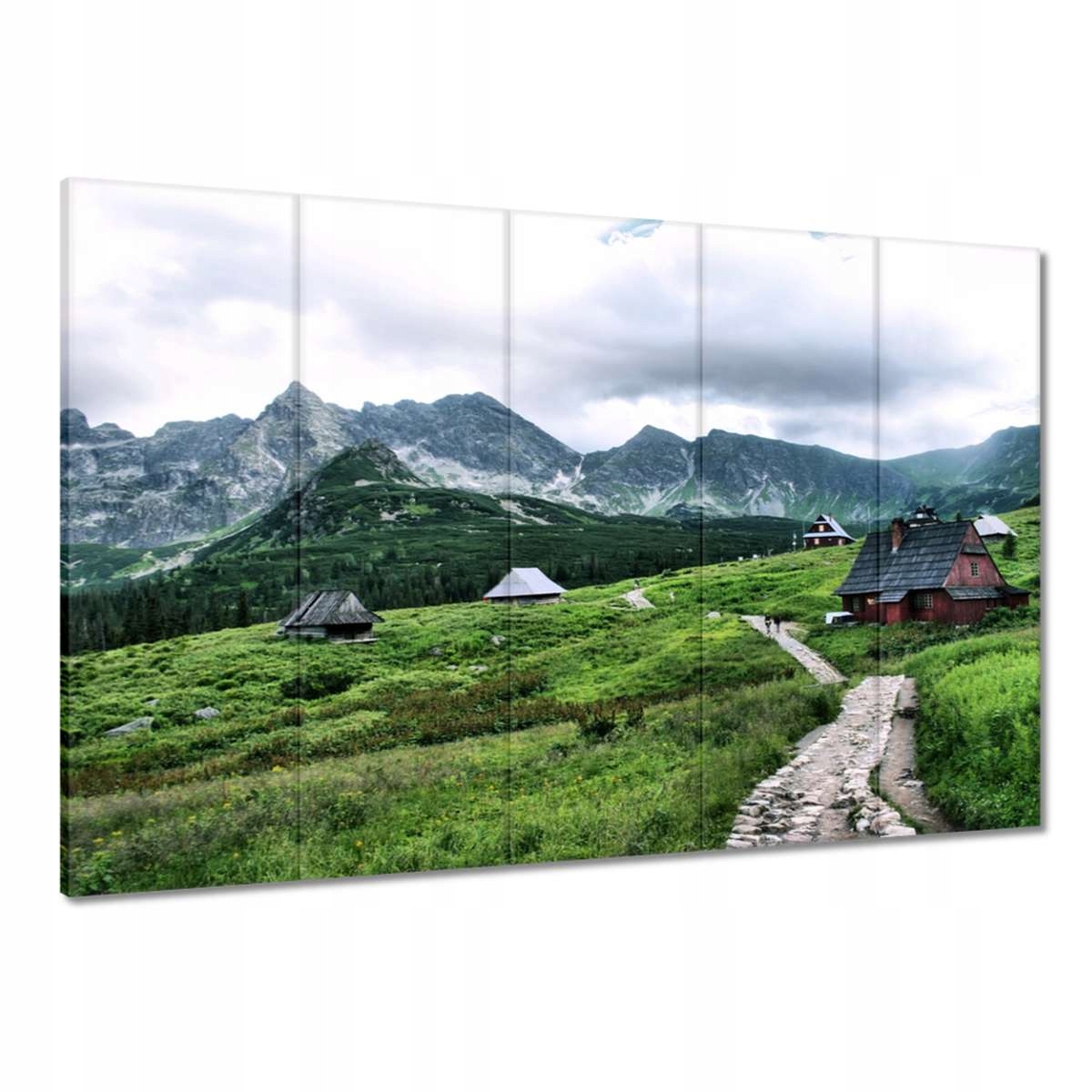 Obrazy 100x70 Tatry Hala Gąsienicowa