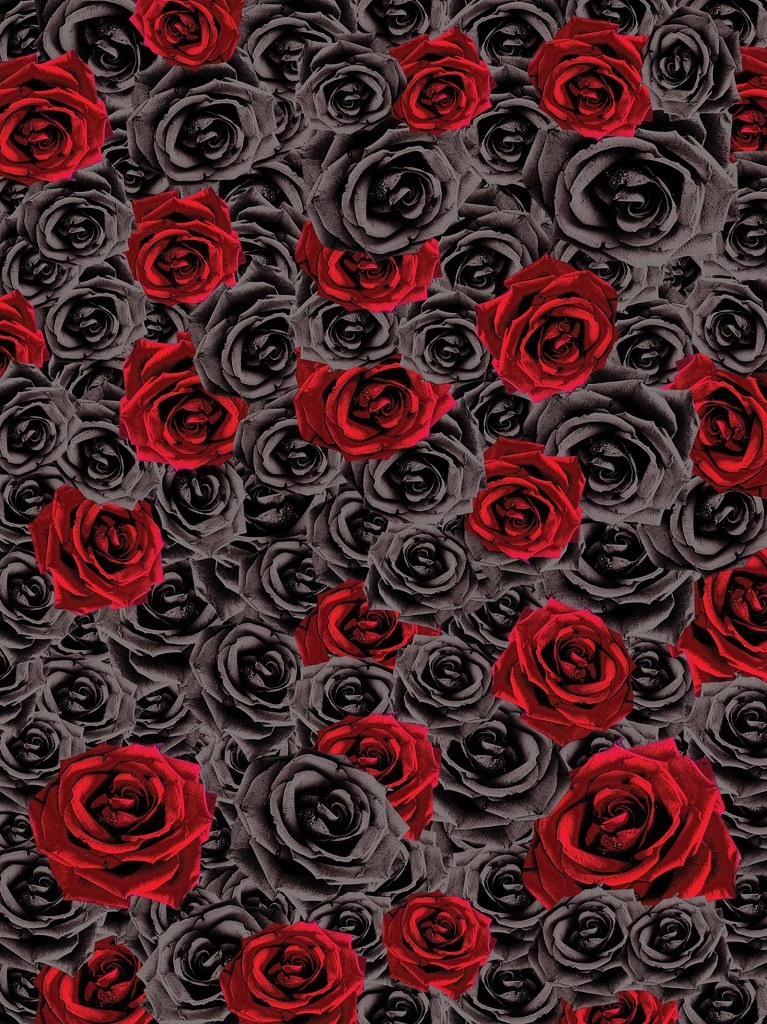 Fototapeta Ruže Červená Čierna Biela Kontrast Elegancia Vinyl 184x254 lepidlo