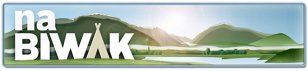 Ręcznik szybkoschnący XS Royal Blue TravelSafe Model brak