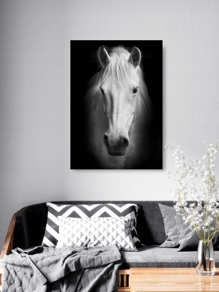 KOŃ czarno-biały plakat A1 59,4x84cm #198 Tematyka zwierzęta