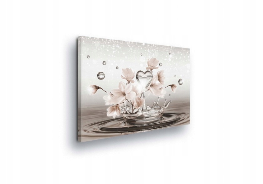 Obraz 100x75 Svěžest Čistota Květiny Srdce Jemnost Romantismus Jaro