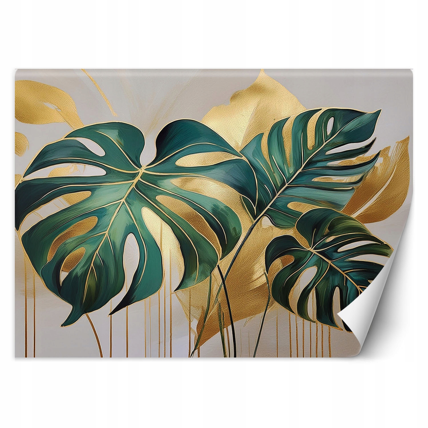 Fototapeta, Tropikalne Liście Monstera 350x245