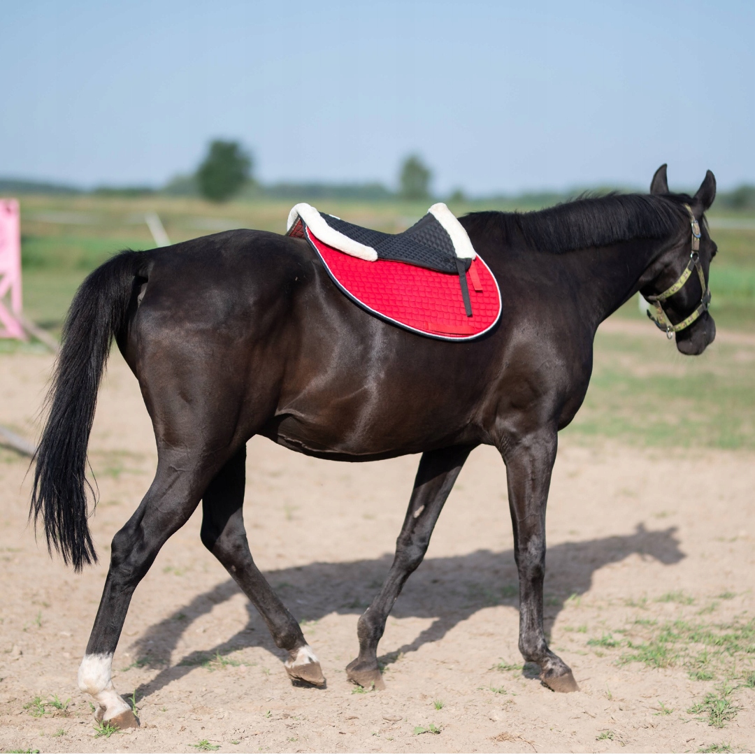 Podkładka pod siodło START FurArtificial futerko Stan opakowania oryginalne