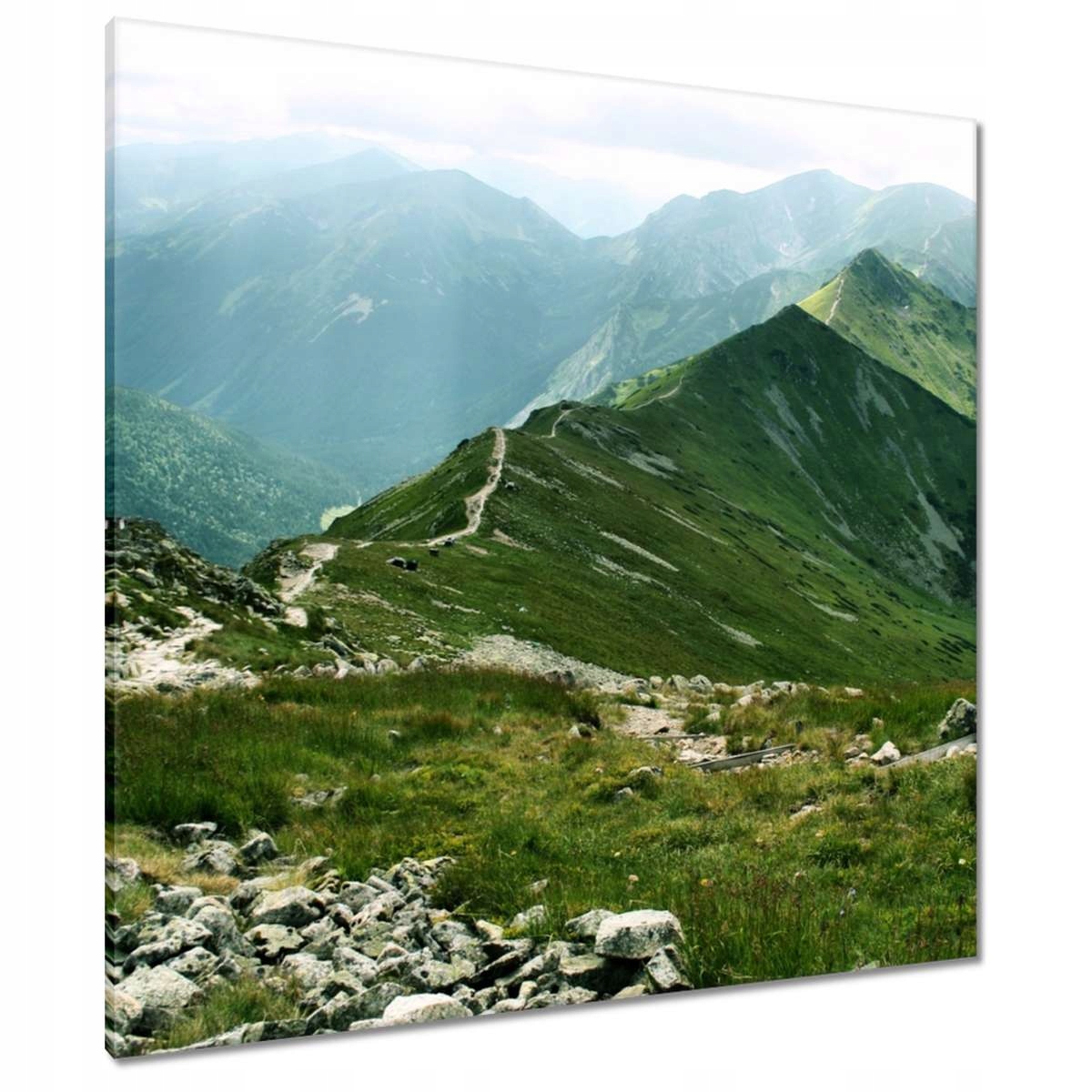 Obrazy 90x90 Tatry Polské hory Pohled