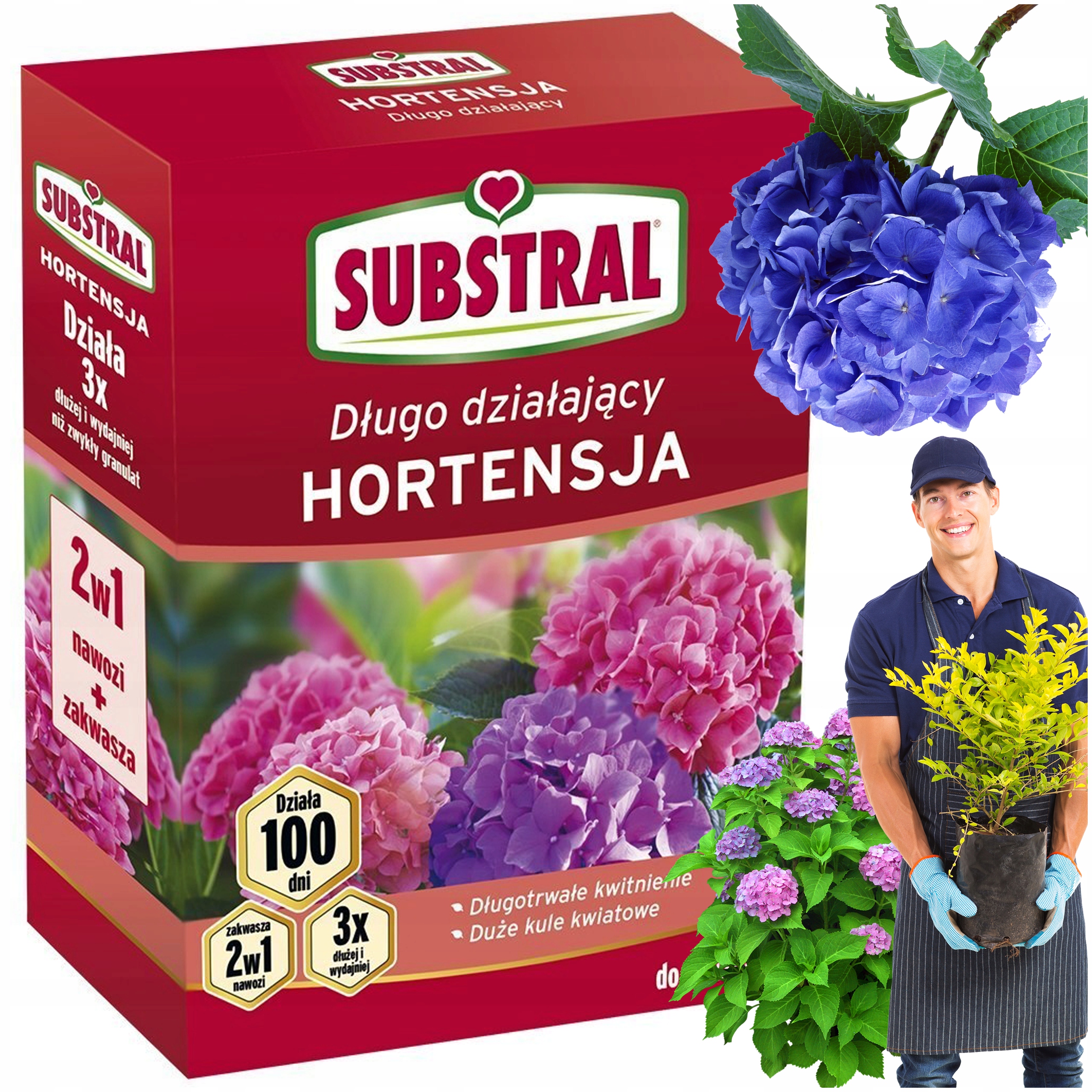 

Nawóz Do Hortensji Z Zakwaszaczem 100 Dni 1KG Subs