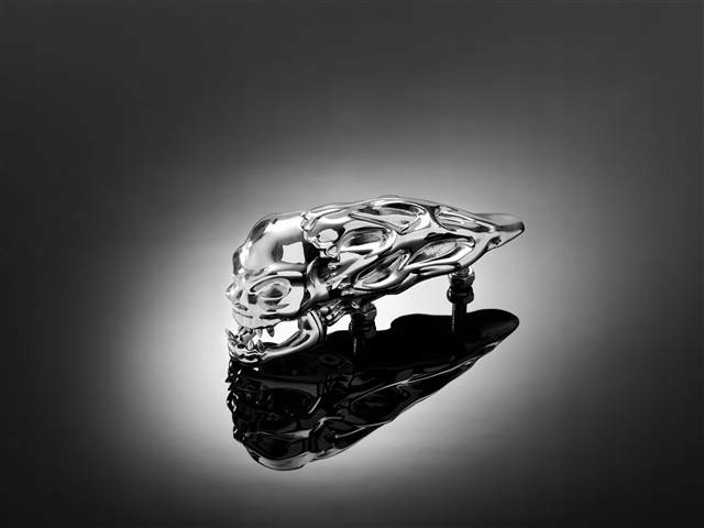 УКРАШЕНИЕ НА КРЫЛО ГОЛОВА ЧАЧА ЧЕРЕП ПЛАМЯ