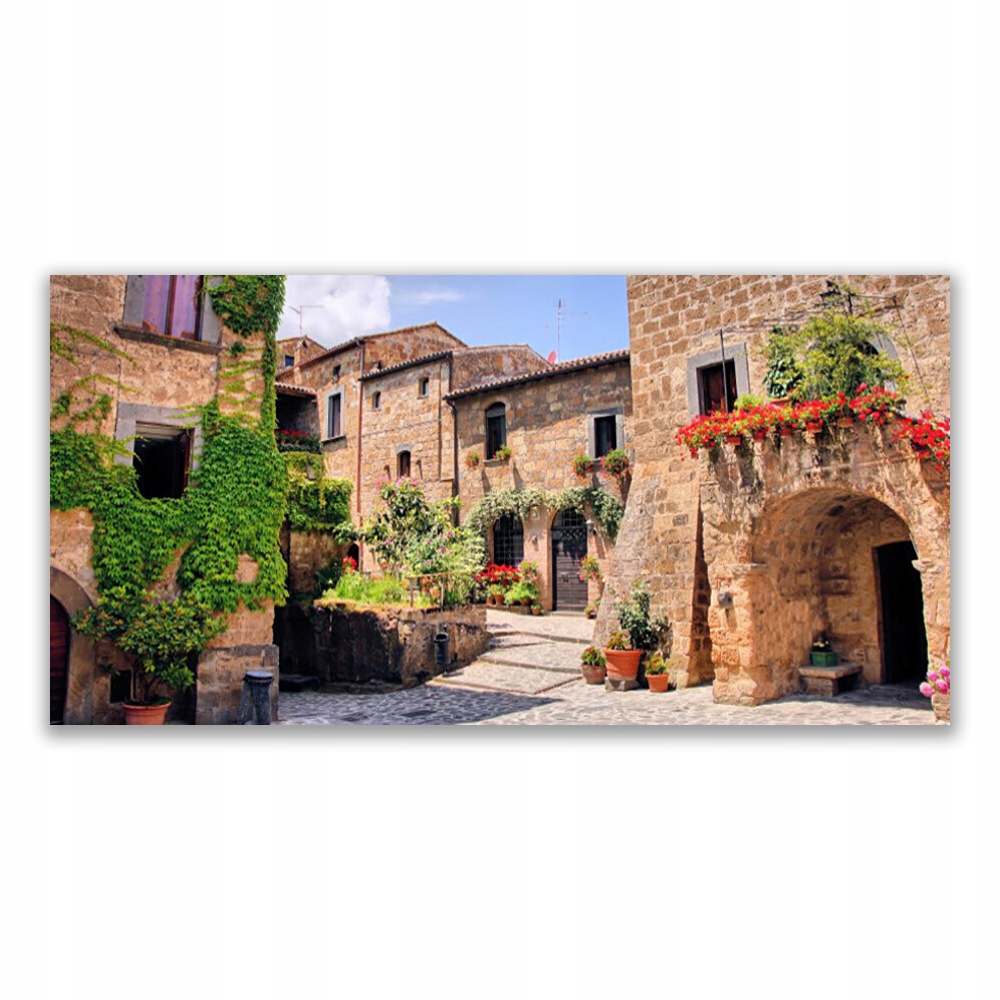 

Obraz akrylowy 120x60 Alejka Kwiaty Domy Roślina