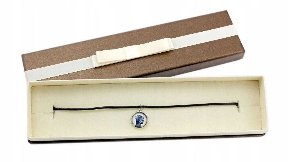 

Dog niemiecki Naszyjnik z Twoim zdjęciem w pudełku