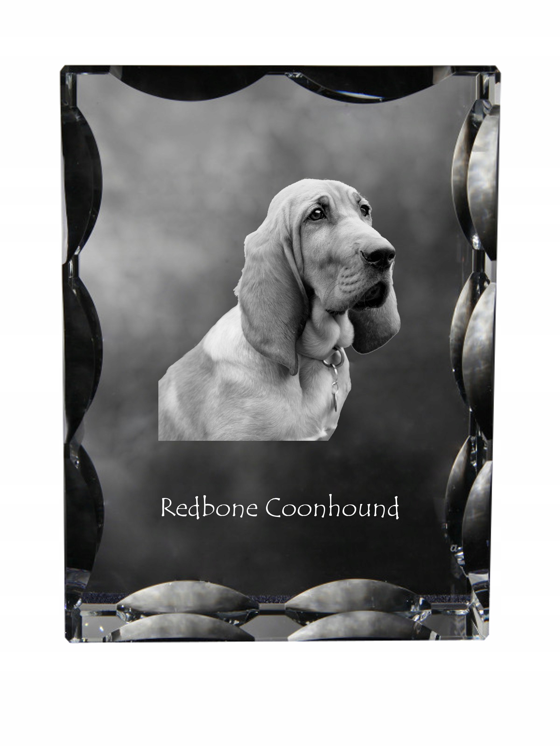 Redbone Coonhound fotografia psa v ozdobnom kryštáli, suvenír dekorácia domu