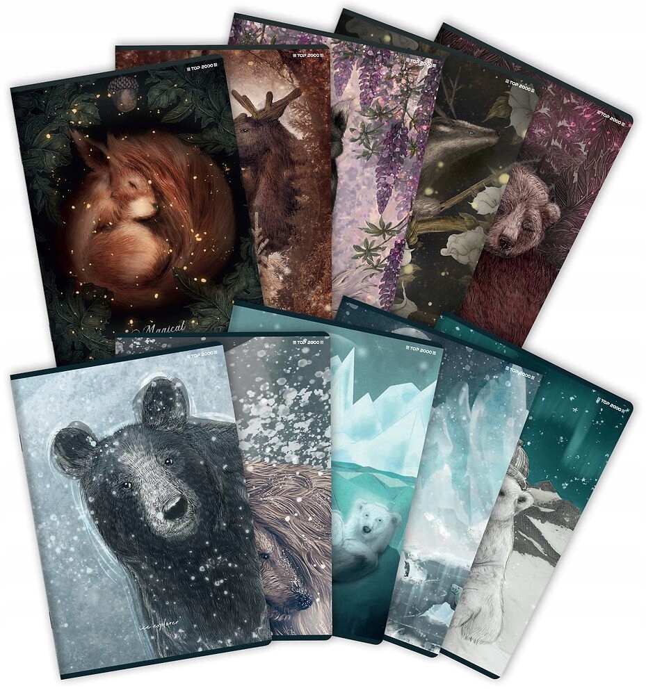 

Zeszyt Top 2000: Forest/Ice A5, 32k kratka