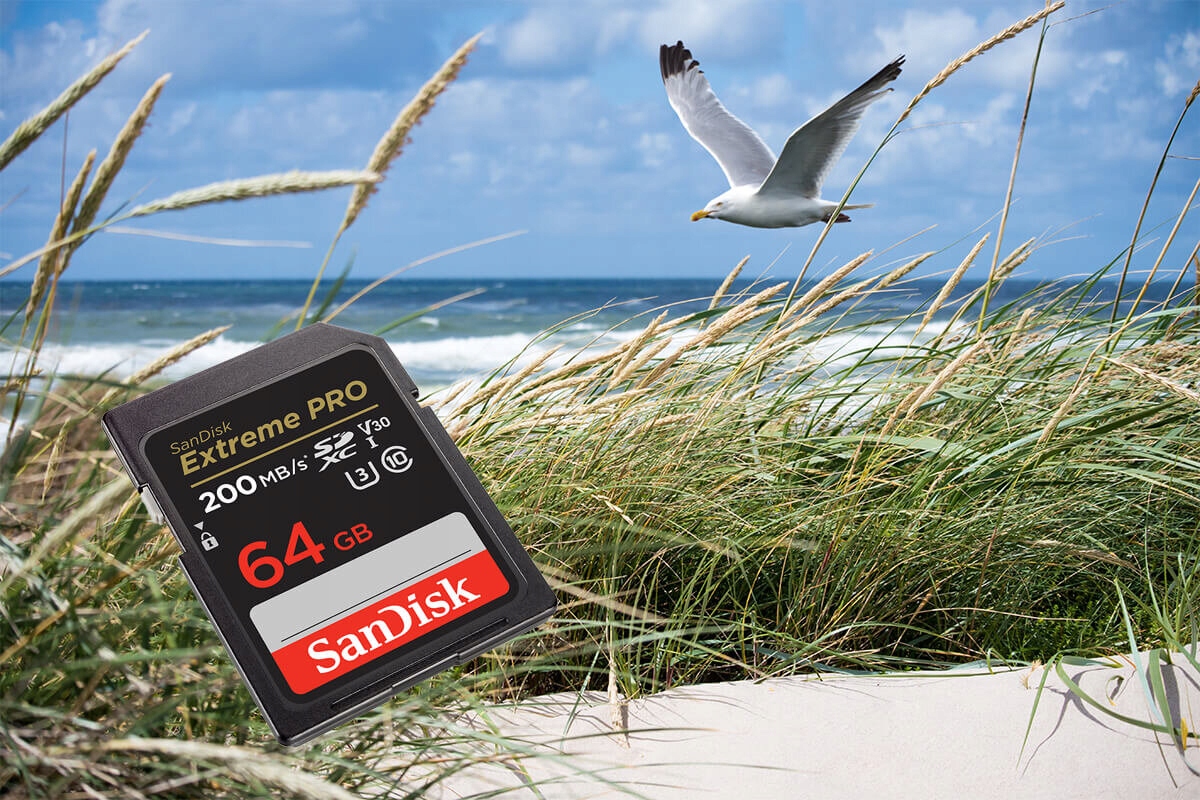 Karta pamięci SANDISK Extreme PRO SDXC 64GB Format karty SD