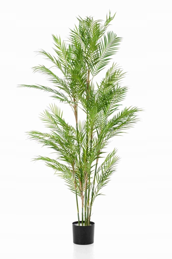 

Chamedora 180 cm sztuczna wysoka palma Jak Żywa