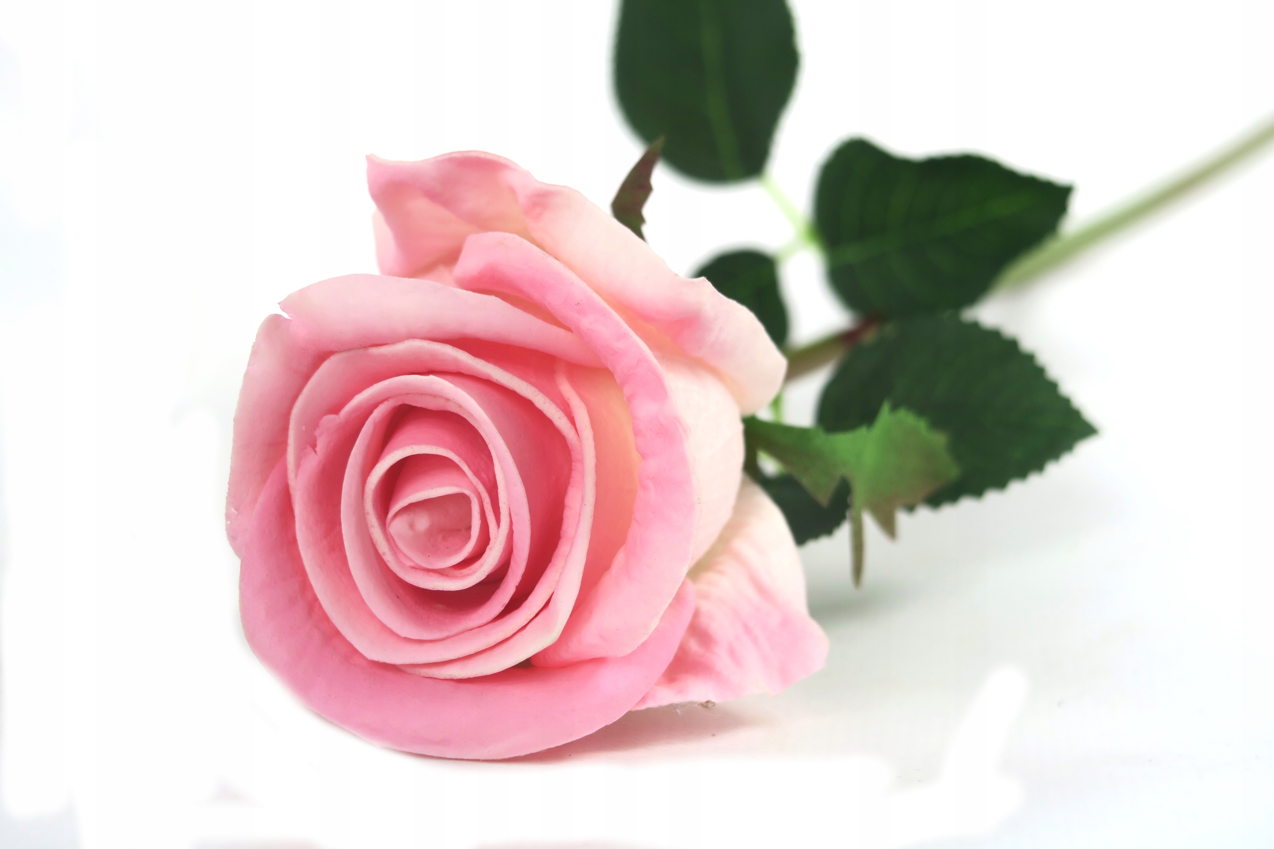 

sztuczna róża piankowa silikonowa pianka Eva 50cm