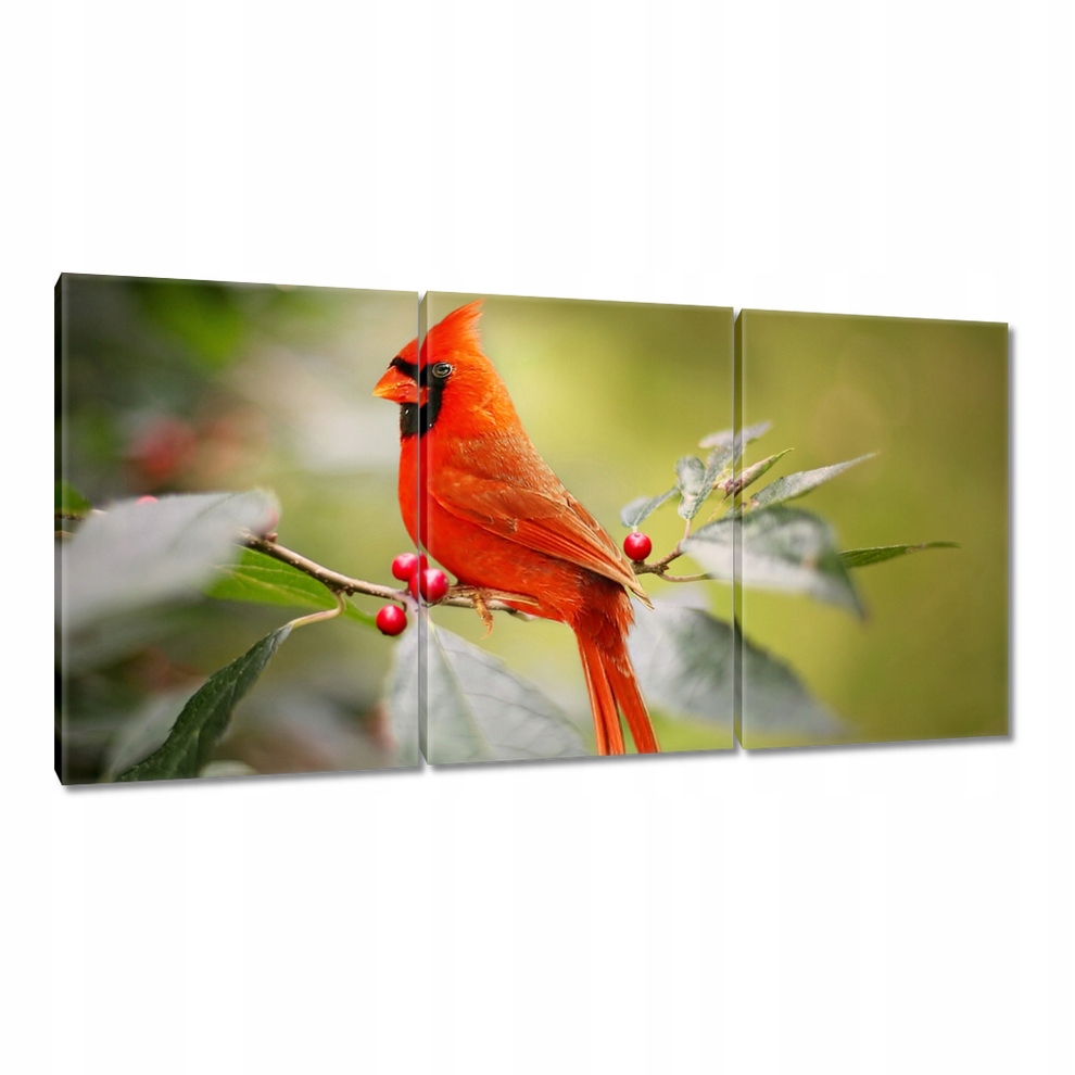 

Obrazy 120x60 Ptaki Ptaszki Ptactwo