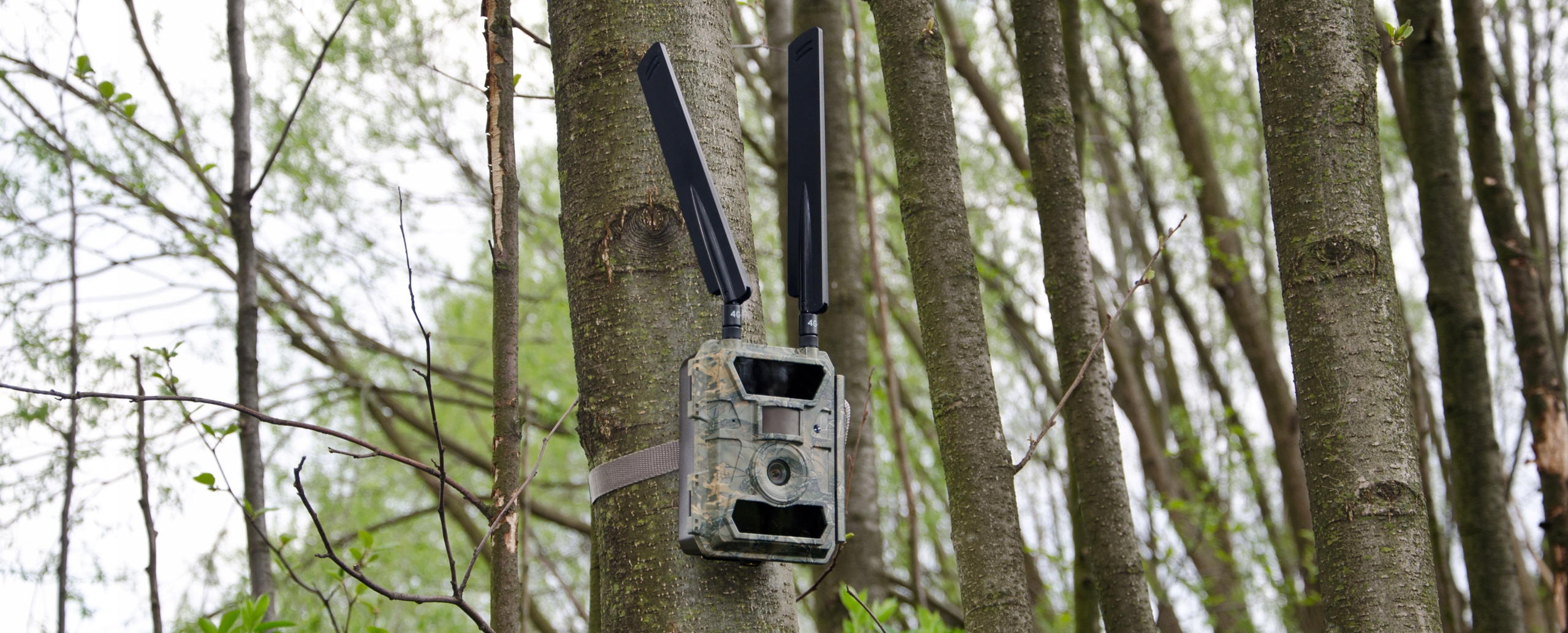 Kamera Leśna FOTOPUŁAPKA Myśliwska FHD GSM 4G LTE MMS wysyła FILMY Menu PL Złącza USB