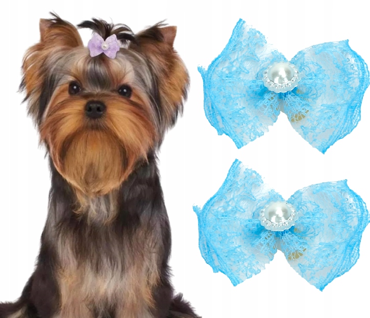 

Gumka Kokardka Dla Psa Gumki York Maltańczyk 2 Szt