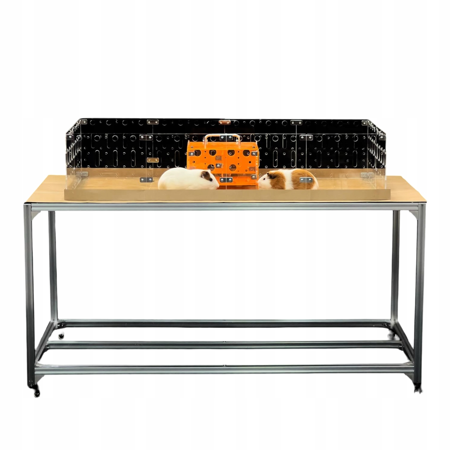 Levně GuineaLoft Akrylová klec pro morčata a králíky 122x61 cm