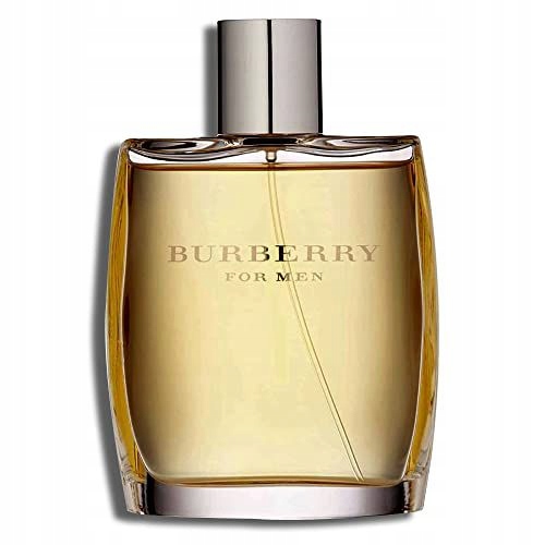 Burberry Burberry For Men Toaletní Voda Objem: 100 ML
