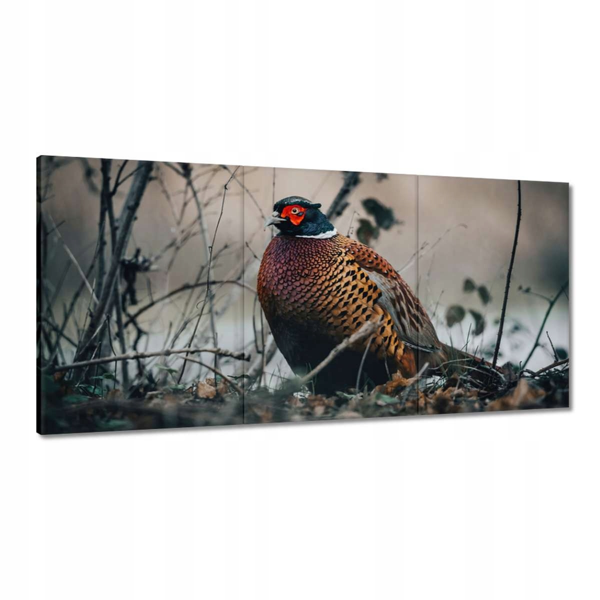 Obrazy 180x90 Bažant v prírode Vtáky