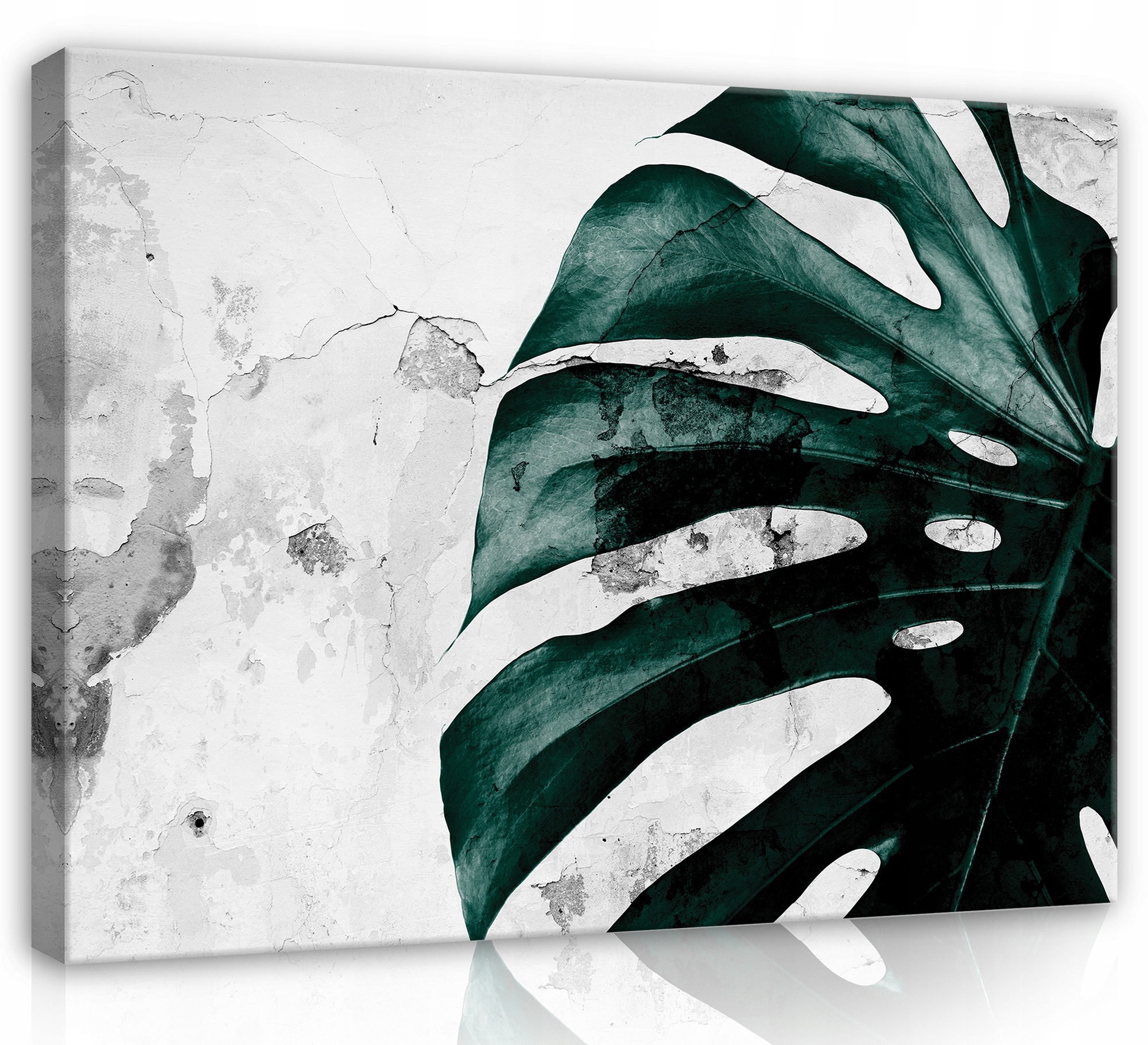 Obraz Na Plátně Canvas 100x75 List Monstera Beton