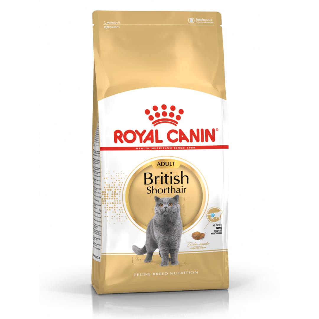 Royal Canin British Shorthair 10kg Karma Sucha Dla Kotów Brytyjskich