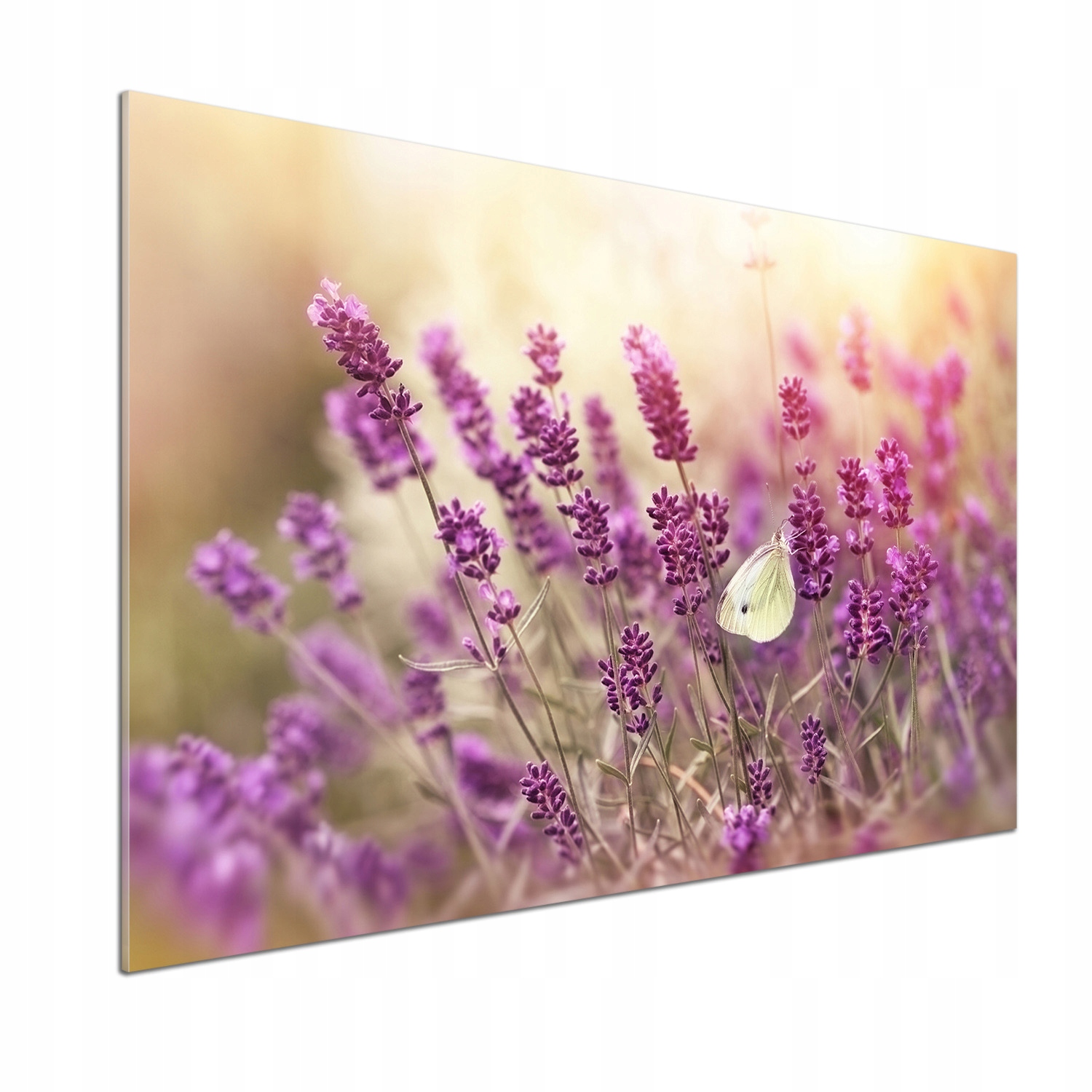 Sklenený panel do kuchyne Levanduľa 100 x 70 cm Lepidlo