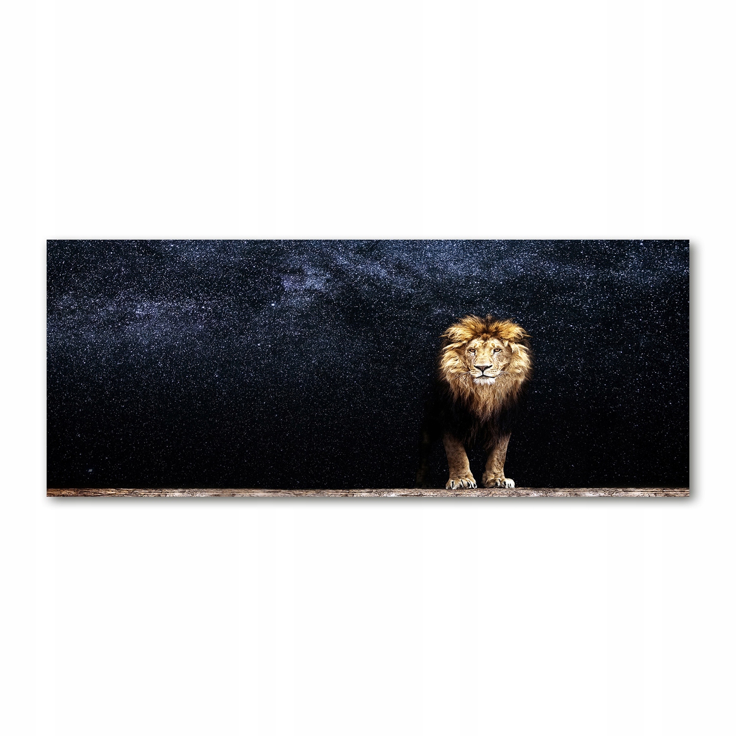 

Foto-obraz szkło akryl Lew na tle gwiazd 125x50 cm