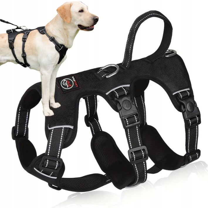 Levně Postroj Pro Psa Proti Útěkům pro psa Elba černý vel L