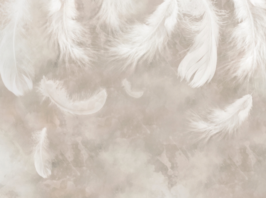 Fototapeta Jemné pierka Loft 350 x 260 cm, vlies 230 g