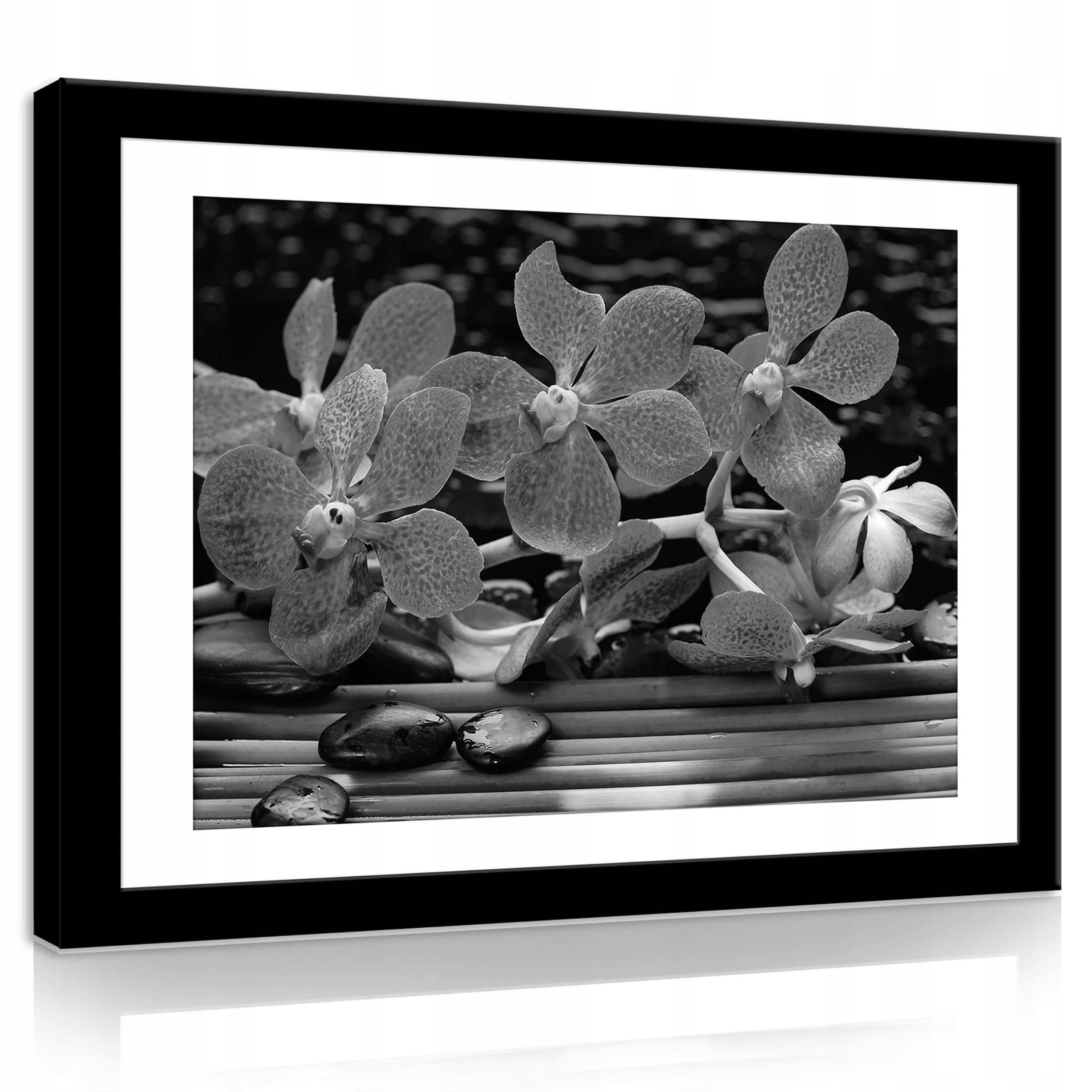 Obraz 80x60 Orchideje květiny okvětní lístky bambus klid příroda