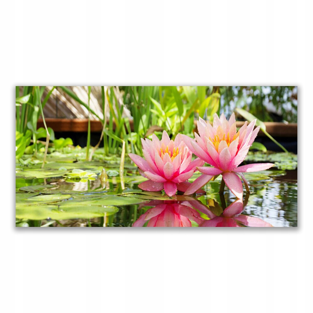 

Obraz akryl na ścianę 140x70 Kwiaty Roślina Natura