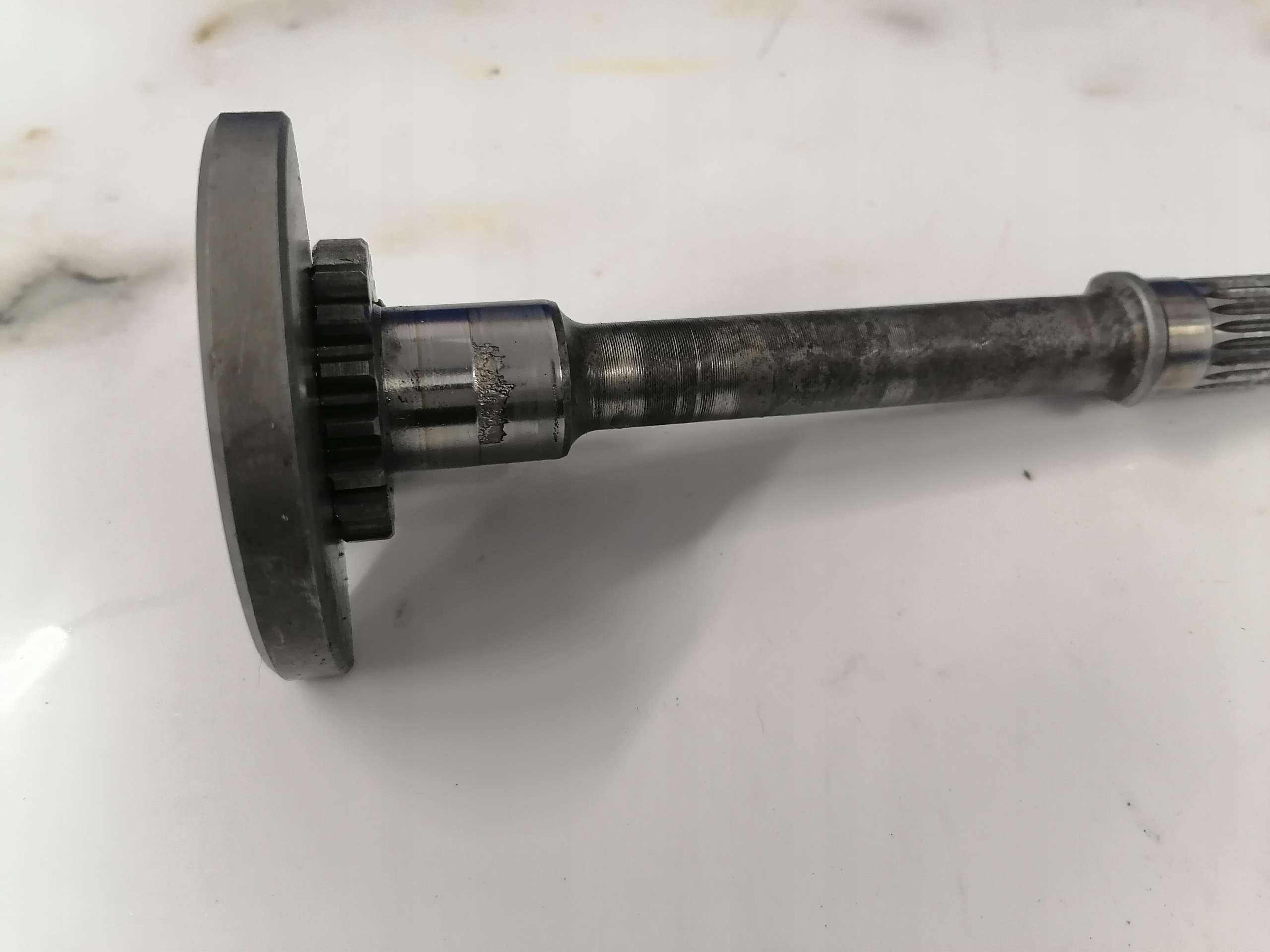 29bdc15c479db3d0d1bdfa958824