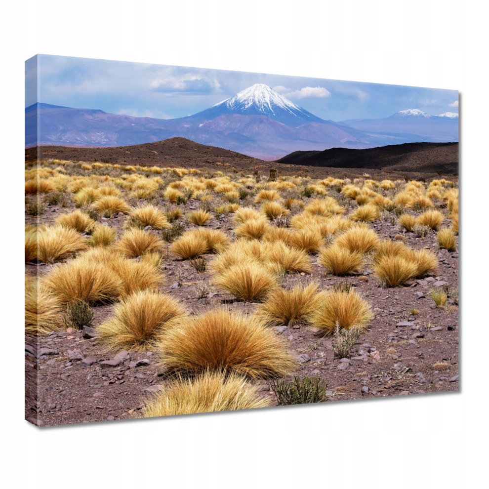 

Obraz 50x40 Krajobraz Widok