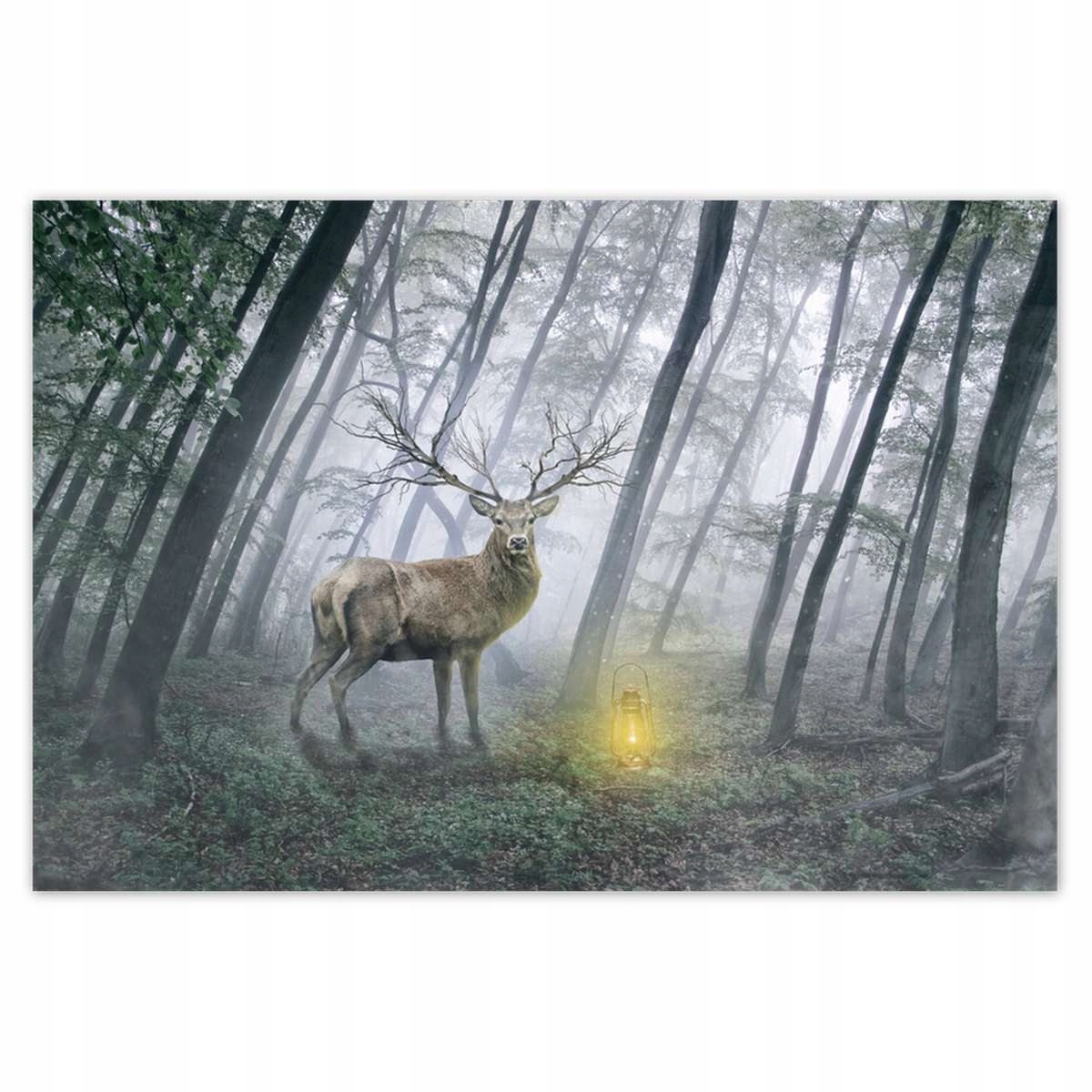 Plakáty 200x135 Jelen v lese