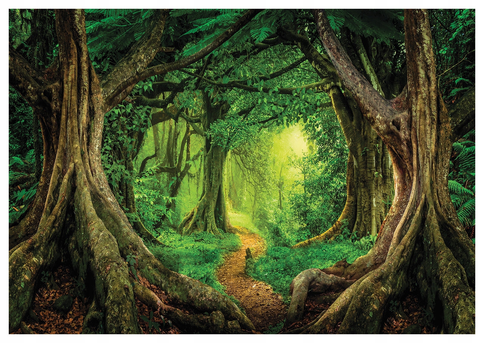 Fototapeta Lesná cesta čarovný les svetlo lesa 312x219 lepidlo