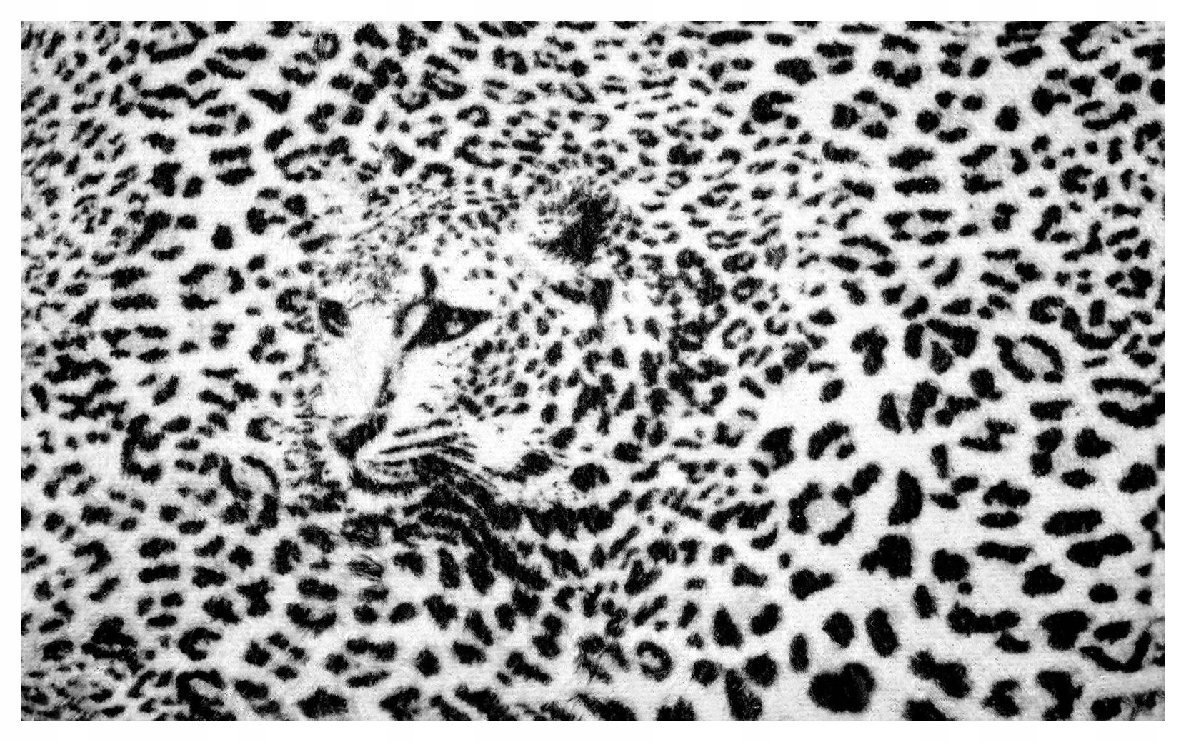 Tapeta Leopard Kamufláž čierno-biela 300x210 Intenzívny pohľad lepidlo