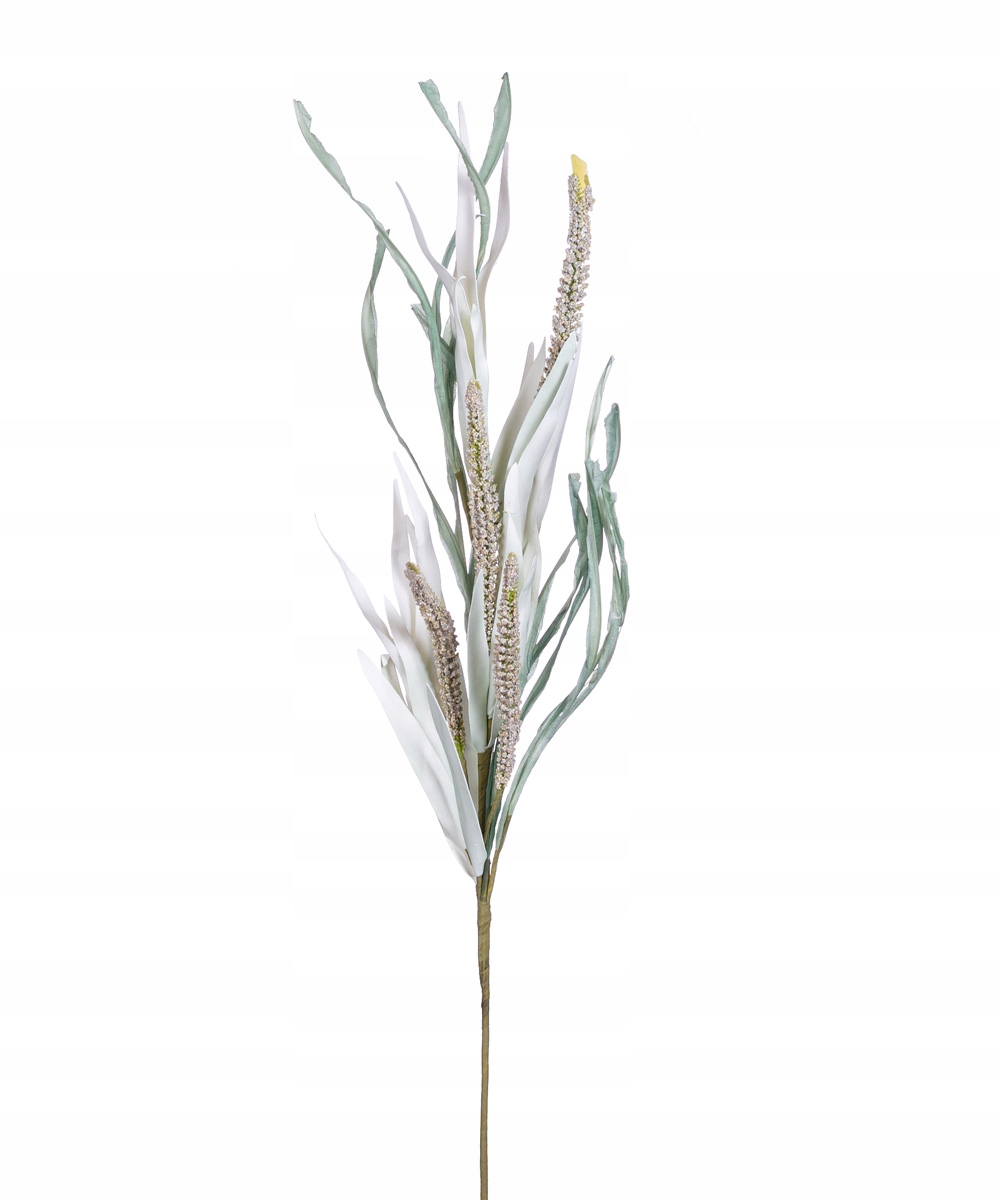 

Gałązka dekoracyjna Trawa z kłosami zielona
