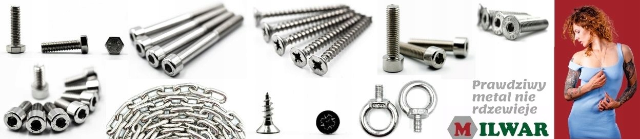 M8x80 ŚRUBA ZAMKOWA NIERDZEWNA A2 603 (10) Średnica 8 mm