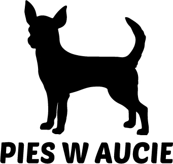 

Naklejka wlepka Chihuahua Pies W Aucie