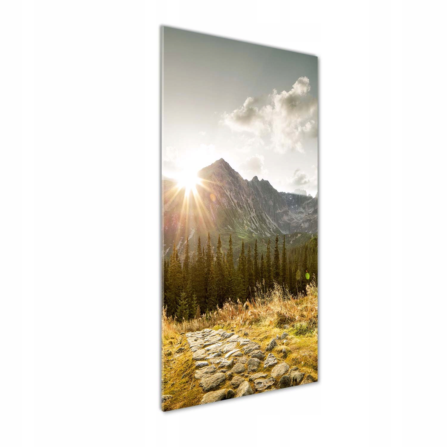

Foto obraz akrylowy Zachód słońca Tatry 50x125cm