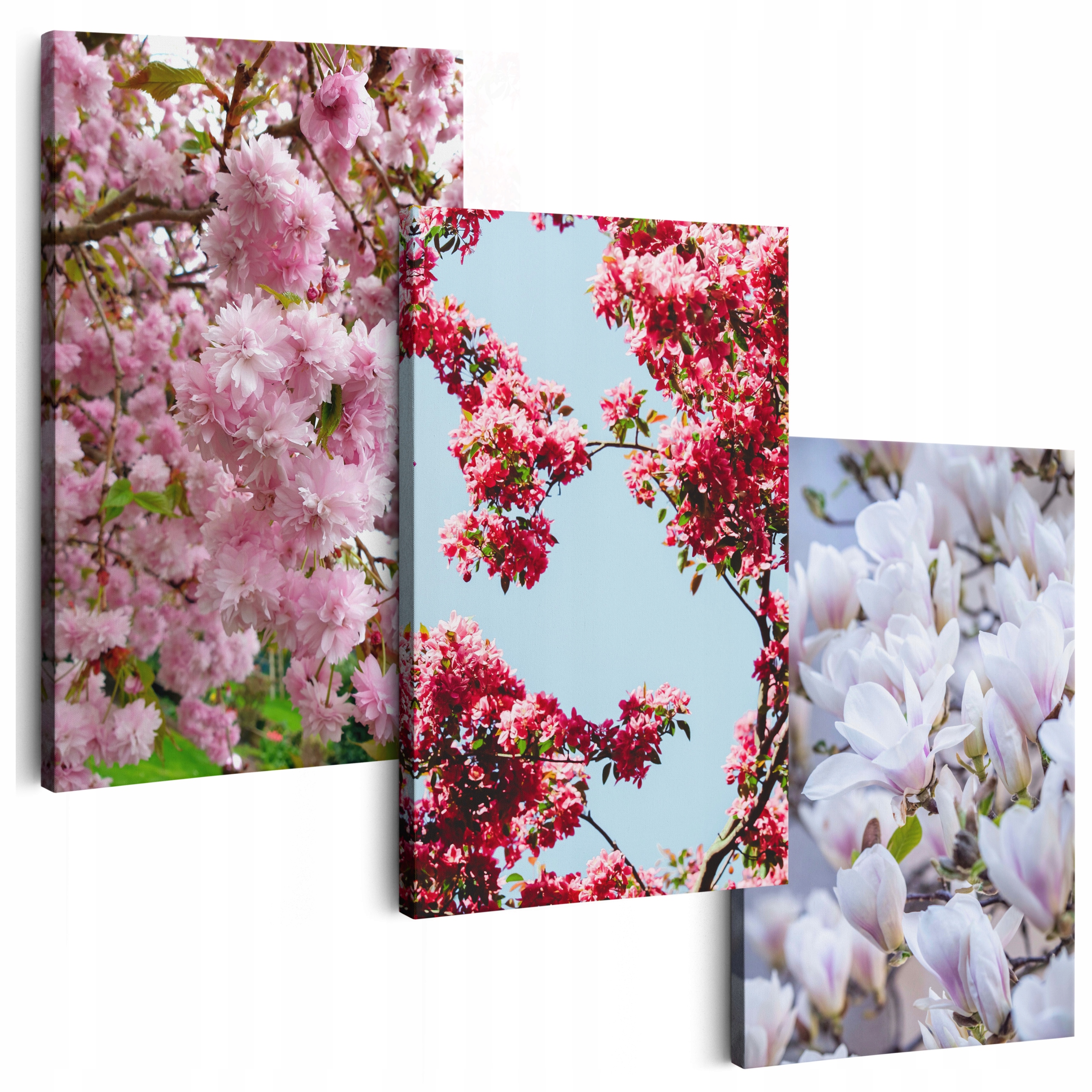 Obraz Na Plátně 180 cm **mnoho vzorů** Obrazy Do Obývacího Pokoje Triptyki Květiny