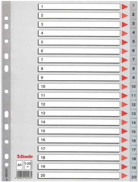 

Przekładki do segr. A4/20 Esselte Pp szare