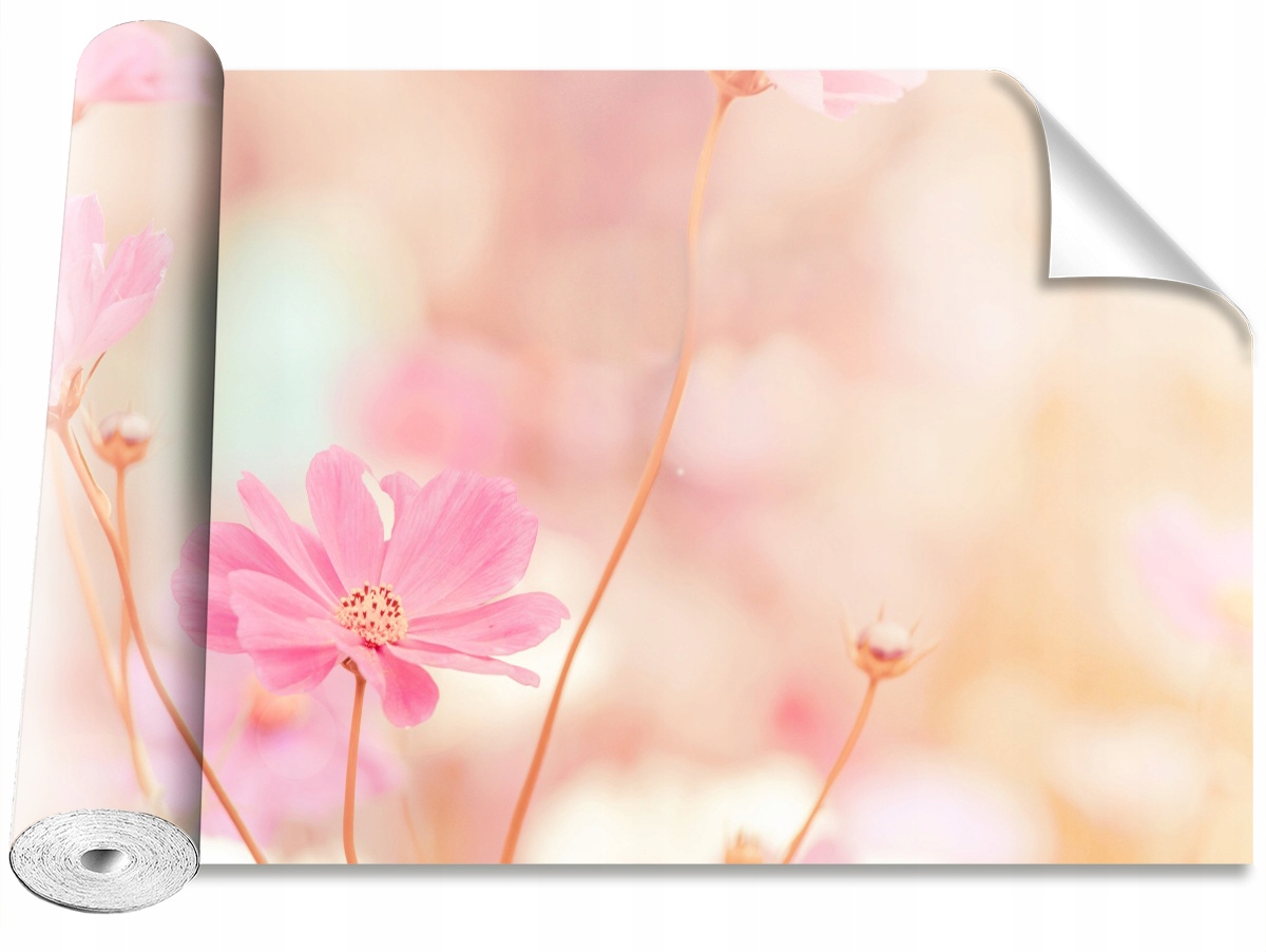 

Tapeta Samoprzylepna Kwiaty kosmos Różowy 312x219