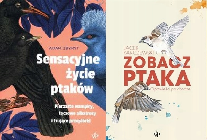Sensacyjne życie ptaków Zobacz ptaka