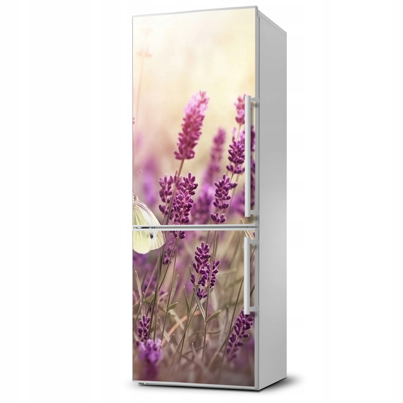 

Naklejka Magnes Magnes Kwiaty lawendy 60x180